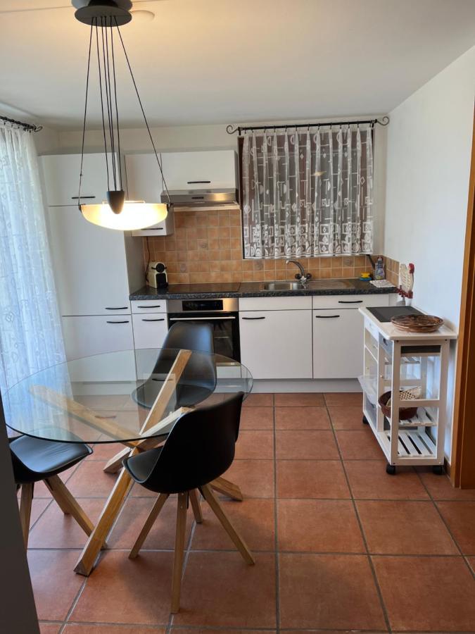 Tenero-Contra Green View Apartments מראה חיצוני תמונה